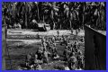 WWII's Most Daring Raids - Smithsonian Channel